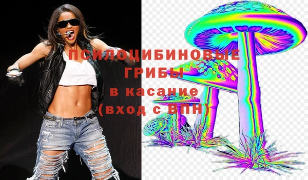 ГАЛЛЮЦИНОГЕННЫЕ ГРИБЫ Баксан