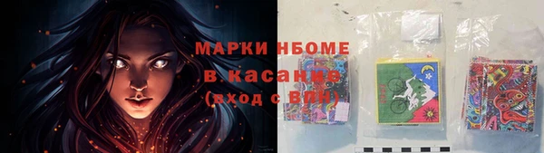 ГАЛЛЮЦИНОГЕННЫЕ ГРИБЫ Баксан