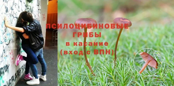 apvp Балабаново
